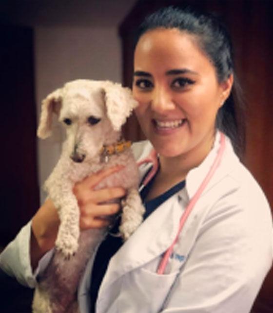 Rocío Ortega Reyes – Instituto de Cirugía Veterinaria